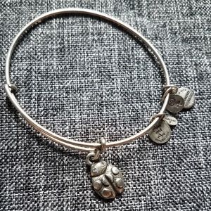 Alex and Ani silver ladybug charm bracelet